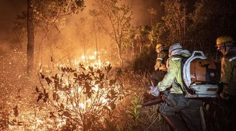 Ação humana causa 99% dos incêndios florestais no Brasil