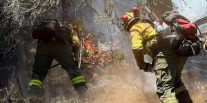 Patagônia argentina enfrenta incêndios de grandes proporções