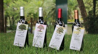 Pesquisa%20revoluciona%20produ%C3%A7%C3%A3o%20de%20vinhos%20com%20madeiras%20nativas%20