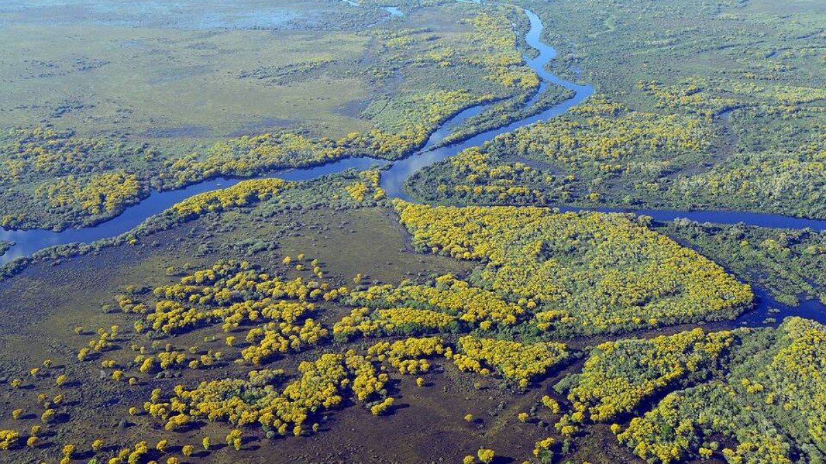 Visão panorâmica do Pantanal Visão panorâmica do Pantanal