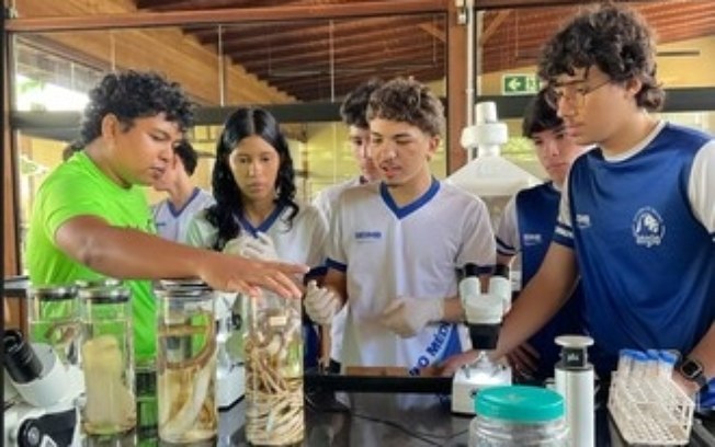 VWCO amplia seu impacto social com apoio a novos projetos em 2026 VWCO amplia seu impacto social com apoio a novos projetos em 2026