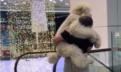 Tutora carrega cachorro gigante no colo em escada rolante; assista