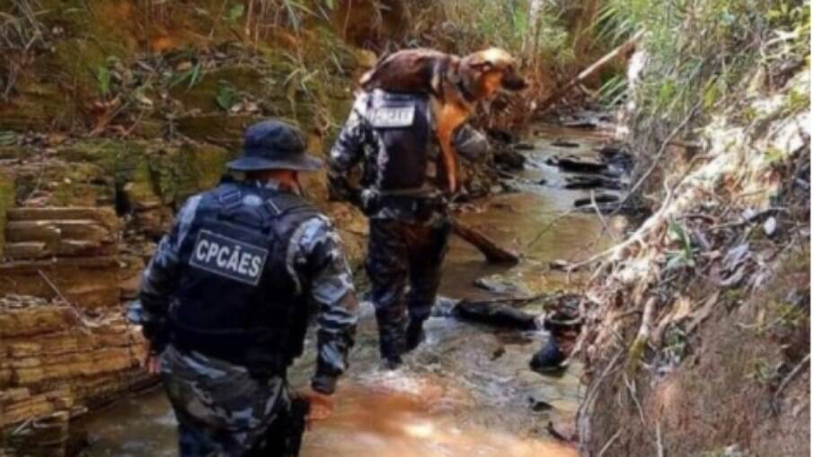 Pastor alemão Sauke é carregado no ombro por PM após se ferir em rio de Cocalzinho de Goiás durante as buscas por Lázaro