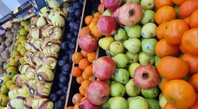 Feriado da Consciência Negra intensifica tráfego nas rodovias