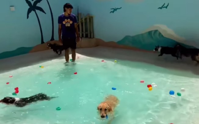 0oyjk6l68f0ocqnsm0jvhqr9z