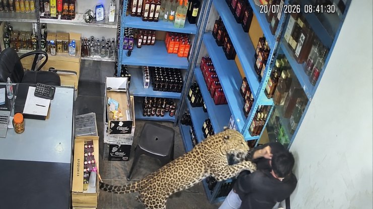 Leopardo%20ataca%20homem%20dentro%20de%20loja%20de%20bebidas%20