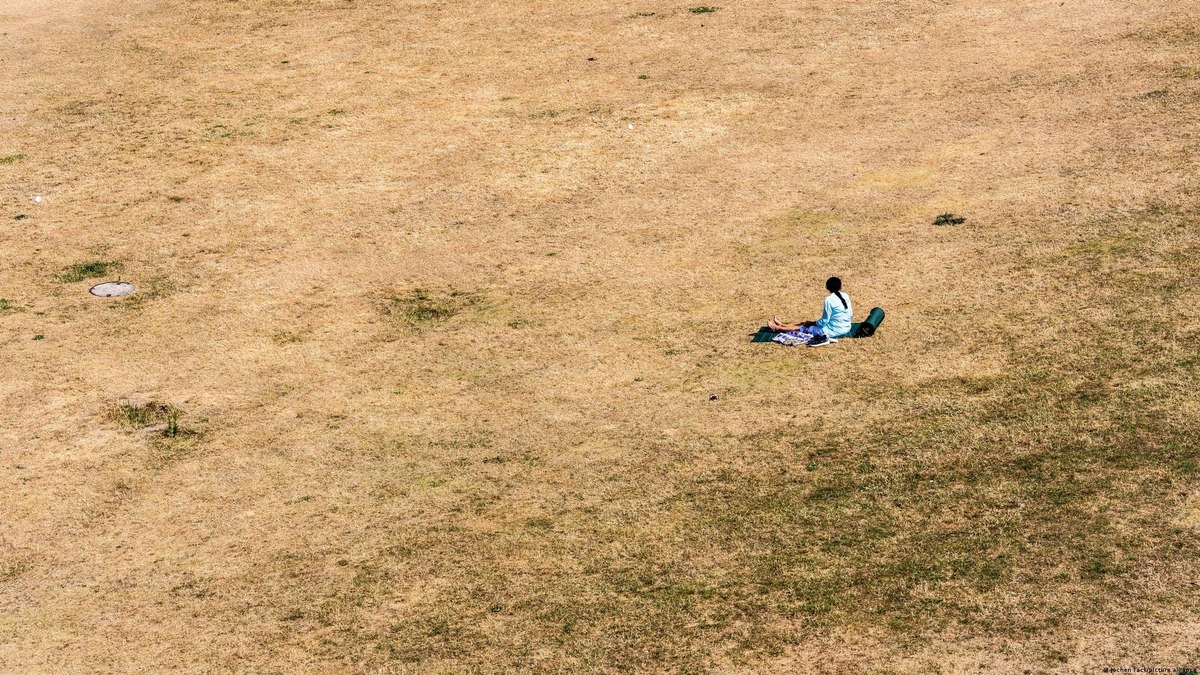 Calor recorde não freia ceticismo climático na Alemanha - QTU Questões do Universo