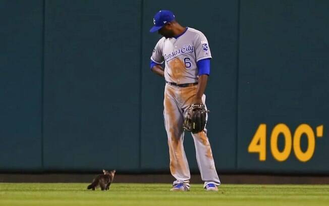 Lorenzo Cain, jogador do Kansas City Royals admira gatinho que invadiu campo de beisebol