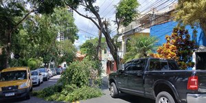 Vendaval derruba árvores e 600 mil pessoas ficam sem luz em SP