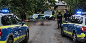 Tigre escapa, ataca tratador e acaba morto pela polícia