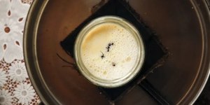 Cientistas criam “iogurte de formiga” e acham bactéria do pão