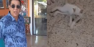 Zeca Pagodinho pede ajuda para desaparecimento de sua gata