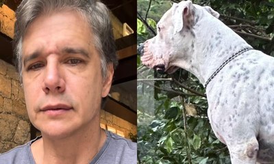 Marcio Garcia anuncia morte de cachorro após luta contra câncer