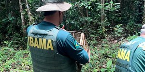 Ibama e Incra abrem inscrições de concurso nesta segunda (15)