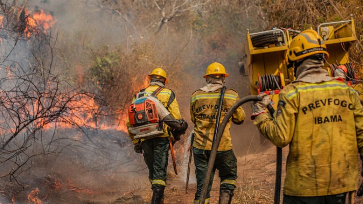 Queimadas no Brasil: ação humana é causa predominante