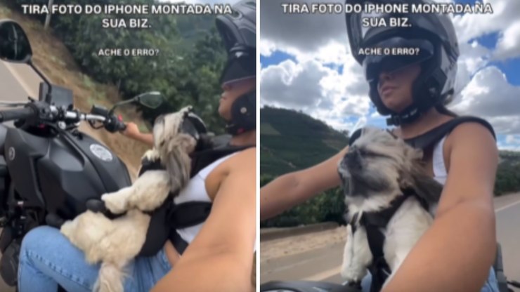 Cachorro curte passeio de moto com a tutora