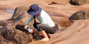 ES: Ilha da Trindade tem águas contaminadas por microplásticos