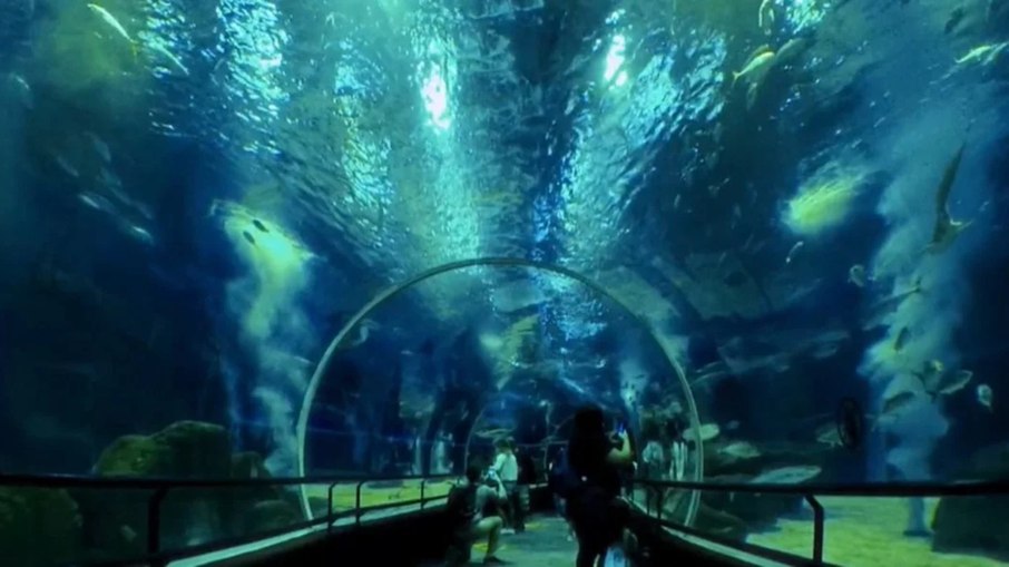 Há outras promoções que incluem a ida ao Cristo Redentor e ao BioParque do Rio. Há outras promoções que incluem a ida ao Cristo Redentor e ao BioParque do Rio.