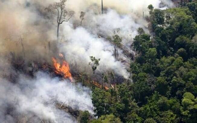 Desmatamento e queimadas na Amazônia cresceram em 2019