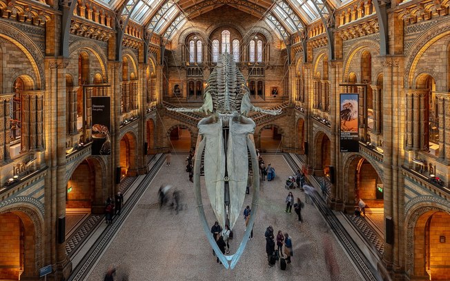 Londres: Museu de História Natural organiza noites do pijama