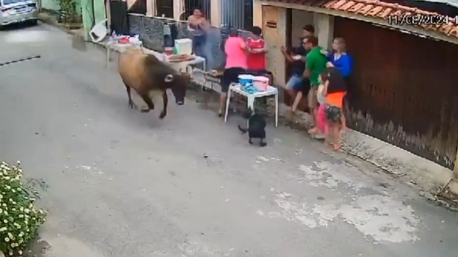 Família tenta fugir e entrar em casa enquanto boi avança contra churrasco