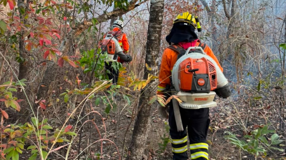 Goiás: Incêndios na Chapada e em Colinas do Sul são controlados