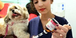 Consultório veterinário móvel estará no Vila União até 5 de março