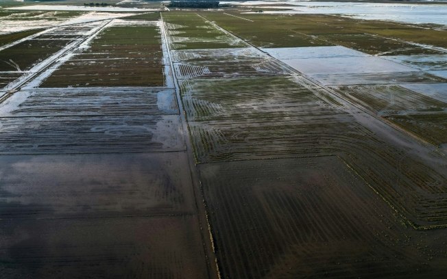 Vista aérea de plantações de arroz danificadas pela enchentes em Eldorado do Sul, no Rio Grande do Sul, 9 de maio de 2024