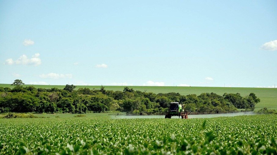 Agrotóxicos batem recorde no Brasil e acende alerta para consumidores