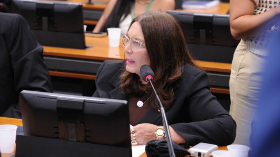 A deputada Bia Kicis (PL-DF) afirmou que a redução não é a solução única para o problema da violência, mas é um caminho.