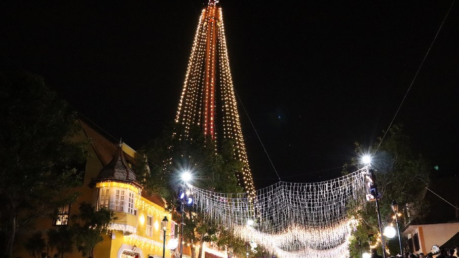 Árvore de Natal foi iluminada durante a Parada Mágika Árvore de Natal foi iluminada durante a Parada Mágika