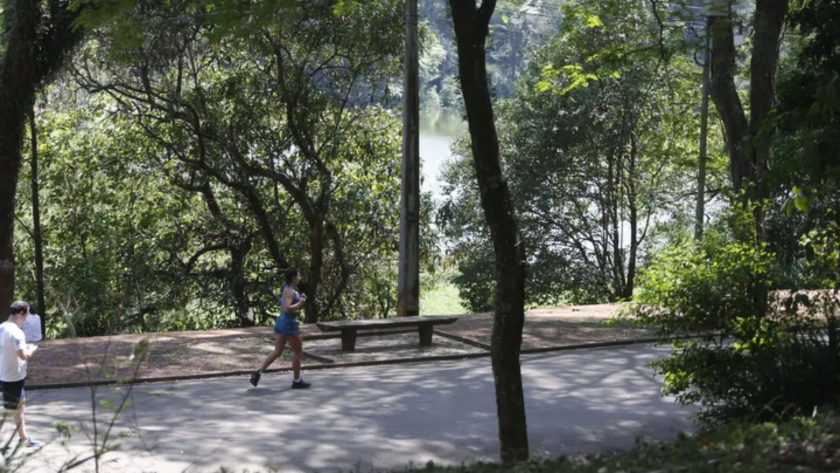 São Paulo deve ter máximas até 24ºC