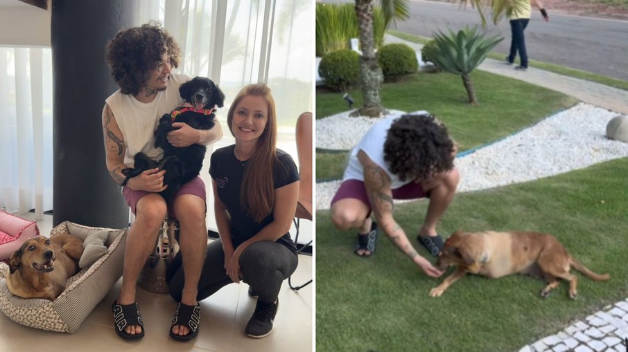 Whindersson Nunes adota cadelas com deficiência e emociona: 'Chorei'