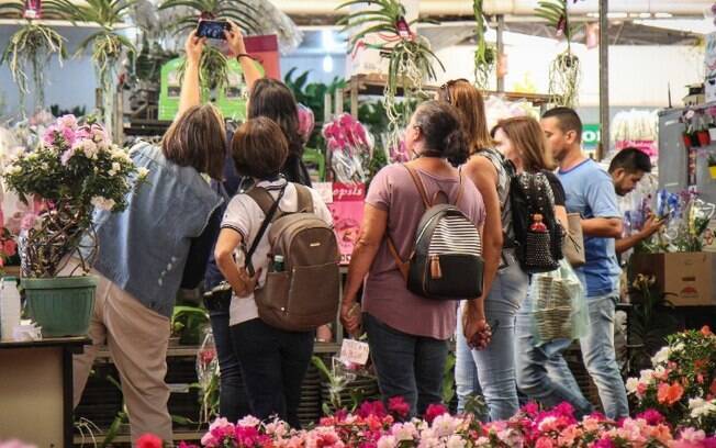 Pandemia: mercado de flores da Ceasa Campinas perde 32,1% de vendedores
