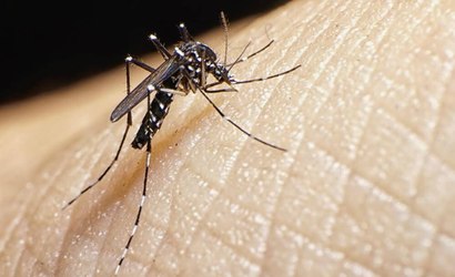 Dengue na Argentina: repelente chega a custar R$ 190