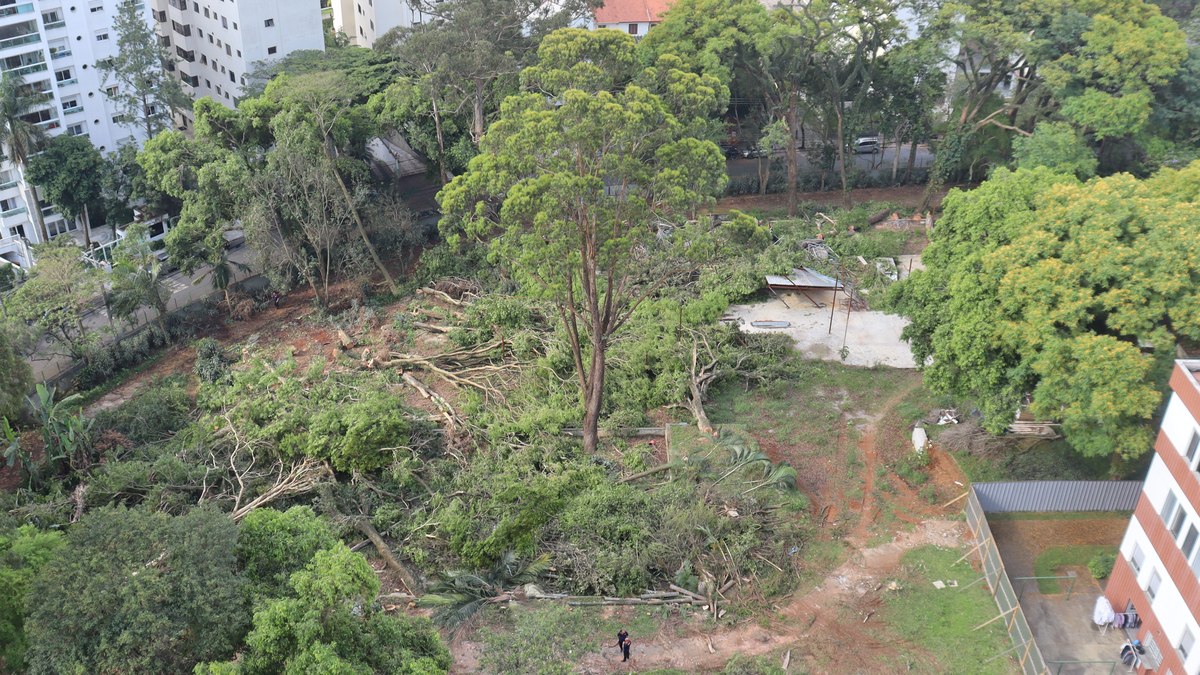Bosque dos Salesianos com as árvores sendo cortadas