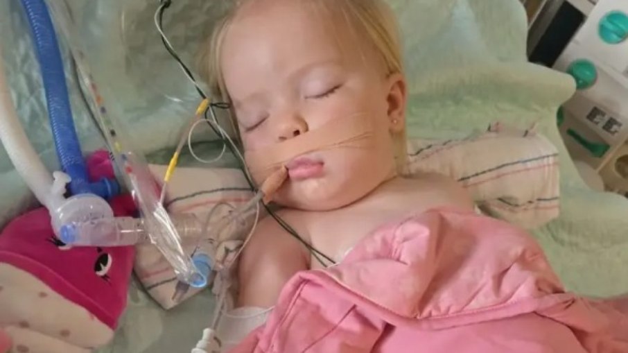 A pequena, chamada Cara, ainda precisará passar por cirurgia depois de ter sido atacada no início deste mês A pequena, chamada Cara, ainda precisará passar por cirurgia depois de ter sido atacada no início deste mês