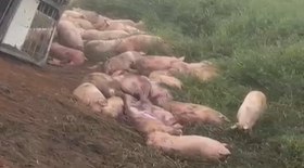 PMs agridem homem com golpes de cassetete em abordagem; veja