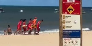 Criança fica ferida após ataque de tubarão em praia de Pernambuco