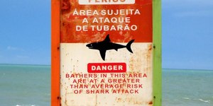 Mulher morre e homem fica gravemente ferido com ataque de tubarão