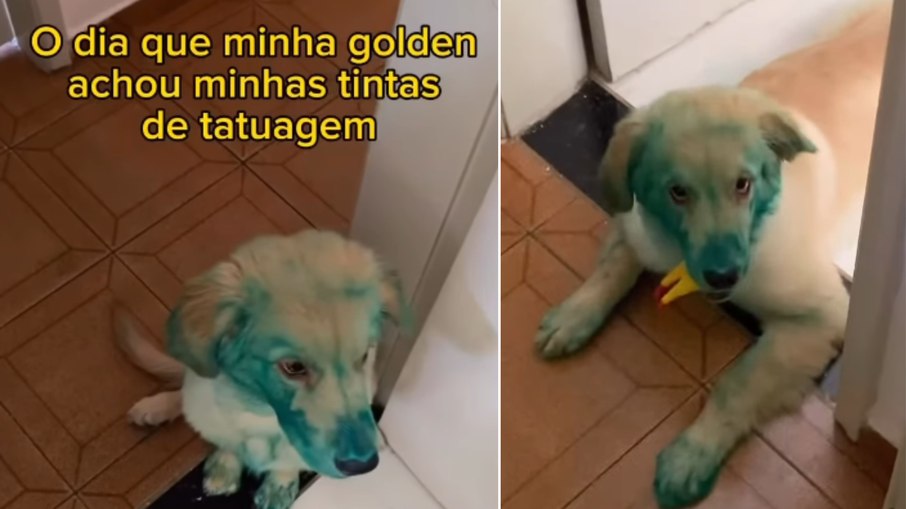 Golden vira “Grinch” após encontrar tinta verde de tatuagem