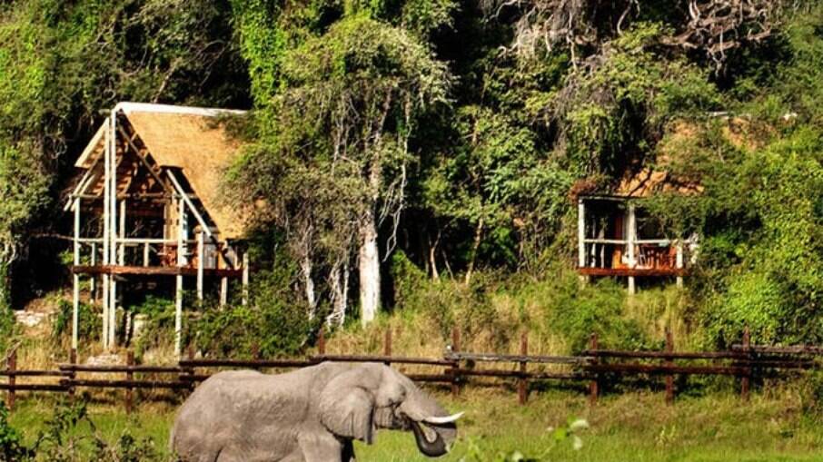 Chobe National Park