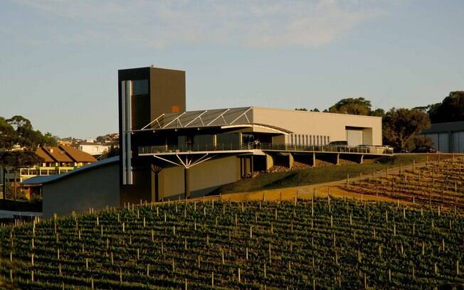 O Rio Grande do Sul é conhecido pela tradição na produção de vinhos
