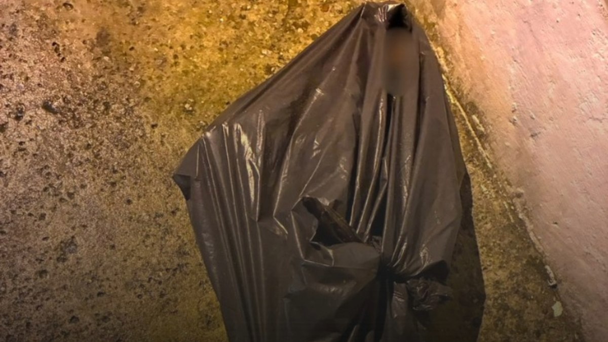 Homem rouba ossos de cemitério em SP por achar que eram da mãe - Foto