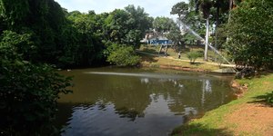 Bosques de Campinas são revitalizados e reabertos; saiba quais