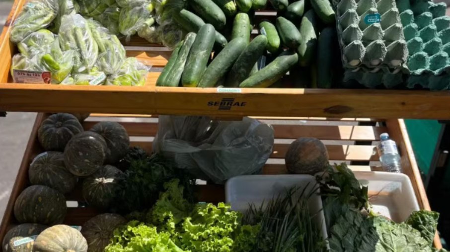 Feira Tucuju da Agricultura Familiar