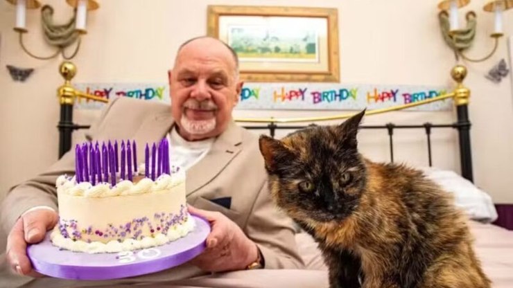 Gata de 31 anos pode entrar para o Guinness World Records