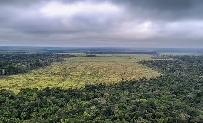 Desmatamento na Amazônia cai 60% em janeiro de 2024