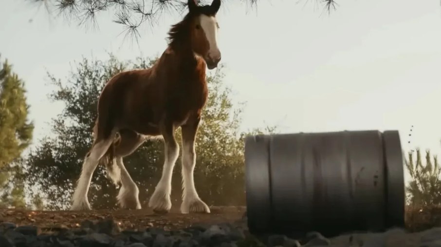 É a primeira vez que um potro é utilizado em um comercial da cerveja