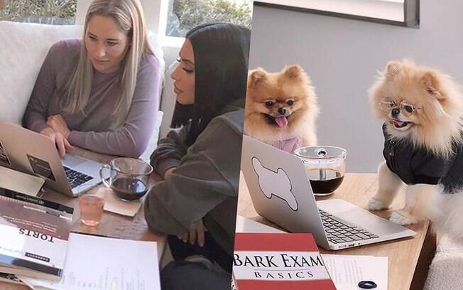 Cachorro da Kim Kardashian imitando fotos da dona
